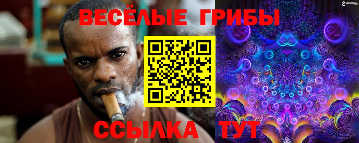 Углич  Псилоцибиновые грибы прущие грибы  Вход с VPN 
