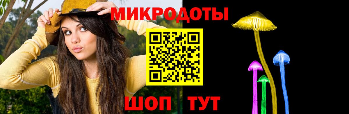 Псилоцибиновые грибы Cubensis Углич